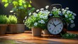 © novitasary - Springtime Serenity: Alarm Clock Amidst Blooming Daisies