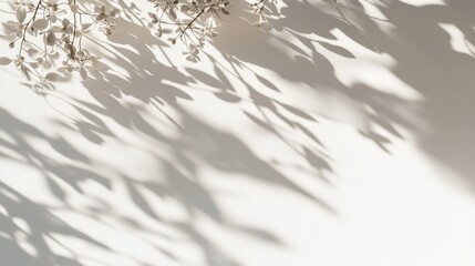 Poster - Delicate Branches Casting Shadows on a Light Wall in a Serene Indoor Setting During the Afternoon