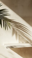 Poster - Shadows of Palm Leaves Create a Serene and Artistic Display on a Textured Wall During the Golden Hour Sunlight
