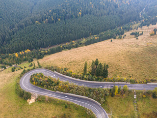Fototapete - vibrant autumn colors of a forest with a winding asphalt road, aerial view