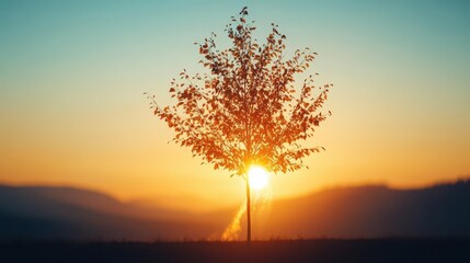 Poster - Majestic Tree Silhouetted Against a Vibrant Sunset Sky with Rich Orange and Purple Hues Evoking a Sense of Peace and Natural Beauty in Evening Light