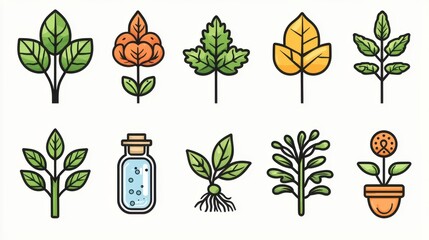 Poster - This image features a collection of 15 minimalist outline icons related to the study of botany plant life and ecological themes