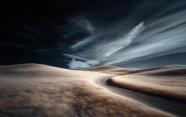 Poster - Winding Path Through Beige Field Under Dramatic