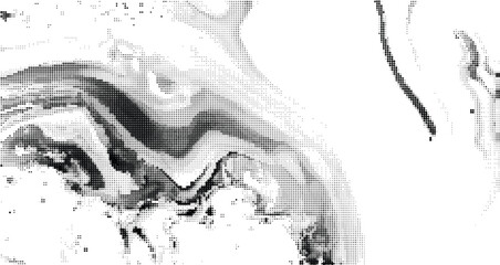 Wall Mural - Abstract wave halftone pattern. Black and white vector illustration	
