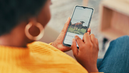 Poster - Phone screen, hands and woman with website, scroll and article for sustainability. Apartment, living room and person with cellphone, social media or online reading for farming or agriculture research