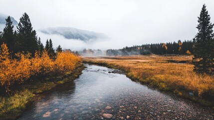 Aufkleber - A misty valley features a clear stream flowing through golden autumn trees and surrounded by majestic Nordic mountains under soft light and fog