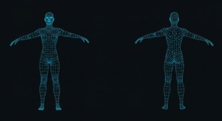 Poster - Front and Back View of a Human Figure Wireframe Model in Blue, Presenting Anatomy and 3D Structure on a Dark Background