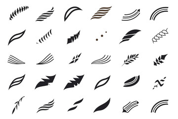 Aufkleber - Collection of various abstract black and white leaf and foliage vector graphic elements set on black  on transparent background png