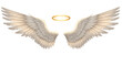 © Lukas - Isolated Angel Wings with Halo