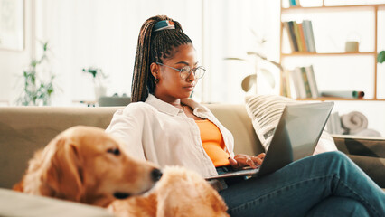 Poster - Laptop, relax and woman student with dog on sofa in living room of home for browsing or education. Bonding, computer or learning with labrador and pet owner in apartment for development or study