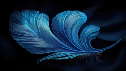 Poster - Elegant blue feather artwork digital art abstract design dark background close-up view nature inspired
