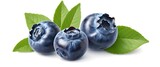 Fresh Blueberries with Leaves