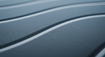 Poster - The image is of a black and white leather surface with white lines