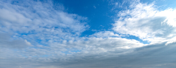 Wall Mural - the sky is blue and cloudy