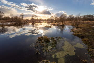 Wall Mural - a calm lake with a cloudy sky in the background