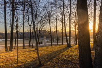 Wall Mural - a park with trees and a bench
