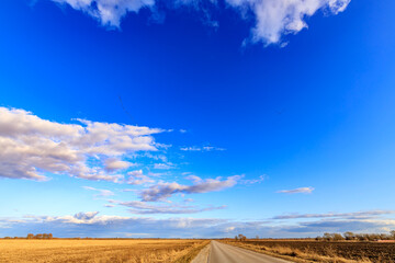 Wall Mural - a road in the middle of a field with a blue sky above