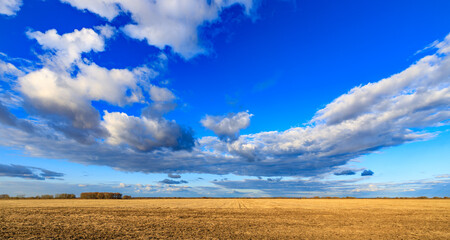 Wall Mural - a large field with a blue sky and clouds