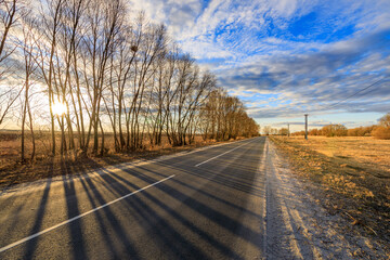 Wall Mural - a road with trees in the background and a cloudy sky