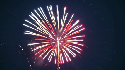 fireworks exploding in a burst of red and blue dots on a dark backdrop. 4th july independence day co