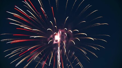 fireworks exploding in a burst of red and blue dots on a dark backdrop. 4th july independence day mo