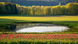 © Taras Vykhopen - Vibrant tulip field beside a tranquil pond with lush trees in the fresh spring landscape