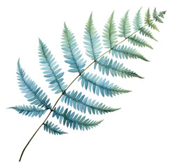Wall Mural - png fern drawing plant leaf.