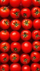 Poster - A close-up image of ripe red tomatoes with green stems, arranged in rows on a surface.