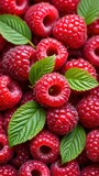 A bunch of red raspberries with green leaves.