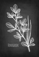 Wall Mural - fenugreek branch with pods chalk sketch