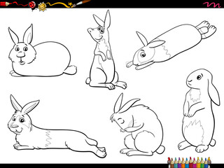 Wall Mural - cartoon miniature rabbits animal characters set coloring page