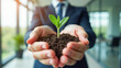 © Radorog. - in the palms of a businessman, the earth with a green sprout is in close-up