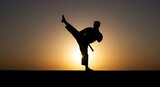 Sunset Silhouette: The Martial Artist's Golden Hour AI Generated