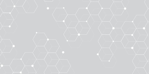 Leinwandbilder - white and grey technology hexagonal abstract background. Abstract gradient hexagon digital technology background. Vector abstract graphic design banner pattern presentation background web template.	