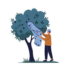 Poster - Person picking fruit from tree using flat design vector art illustration