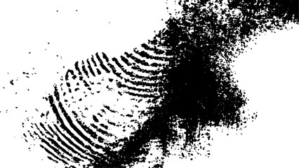 Wall Mural - abstract fingerprint design with a grunge texture, vector white and black fingerprint texture. black