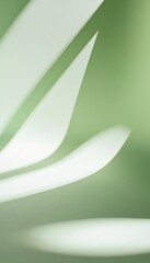 Poster - Soft Shadows and Gentle Light Create an Abstract Composition on a Smooth Green Surface During the Late Afternoon