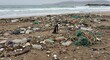 © LittleDuck - Penguin and Plastic Pollution on the Beach - A lone penguin stands amidst a vast expanse of plastic waste polluting a sandy beach. The symbolizes environmental damage, wildlife endangerment