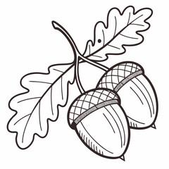 Wall Mural - Simplified acorn vector with soft shading and bold outlines
