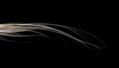 Wall Mural - close up of a white feather on a black background
