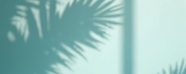 Poster - Blurred shadows of palm leaves on blue wall background. Minimal abstract backdrop for presentation. Soft natural light, perfect for displaying products. Summer spring seasons texture design.