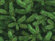© AhStudio - Evergreen Fir Tree Branches Forming a Dense Natural Pattern