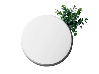 Poster - Elegant green plant displayed in a white round frame against a minimalistic background bringing freshness to decor isolated on a white background.