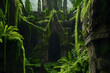 © Rina - Overgrown abandoned ruins with moss-covered arches in the jungle high resolution image