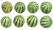© MILKY_PS - A delightful collection of watercolor watermelons, each rendered in a slightly different pose, showcases the versatility and beauty of this beloved summer fruit From round and plump to slightly