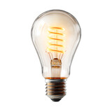 • Lightbulb with glow rays isolated on transparent background