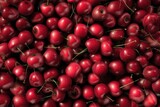 A vibrant display of ripe cherries, their glossy, crimson surfaces a testament to the bounty of nature. This close-up shot captures the essence of freshness and sweetness.