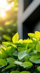 Aufkleber - Verdant Urban Serenity Vibrant Green Botanical Microscape Illuminating Sustainable Design and Biophilic Architecture with Soft Natural Lighting