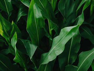 Poster - Green Vitality Immersive Botanical Macro Exploring Biophilic Design Trends, Sustainable Wellness and Natural Texture Complexity