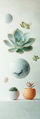 Aufkleber - Ethereal Succulent Sanctuary Minimalist Botanical Design with Floating Spheres - Zen Wellness Aesthetic for Modern Mindful Living Spaces